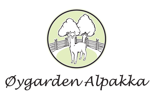 Øygarden Alpakka
